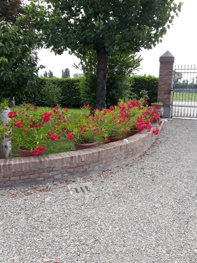 Al Sit Ed Marino Bed and Breakfast Castel Maggiore Exteriör bild
